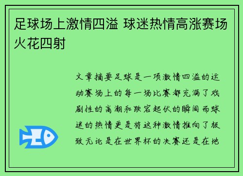 足球场上激情四溢 球迷热情高涨赛场火花四射