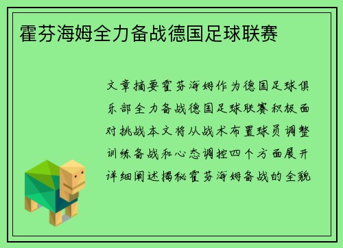 霍芬海姆全力备战德国足球联赛 霍芬海姆全力备战德国足球联赛